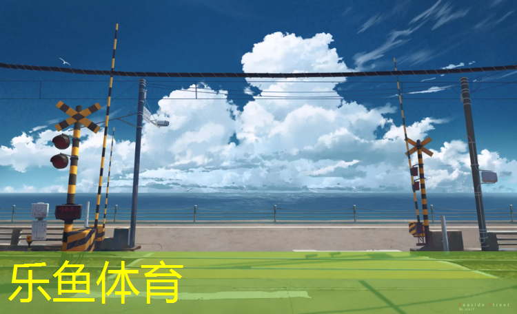 乐鱼体育,顺义学校塑胶跑道效果图