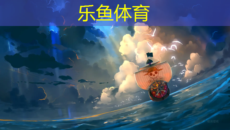 跆拳道护具外形描述图解